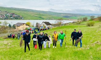 O localitate din Cluj devine mai verde: 200 de voluntari au plantat puieți de salcâm pentru viitoarea pădure