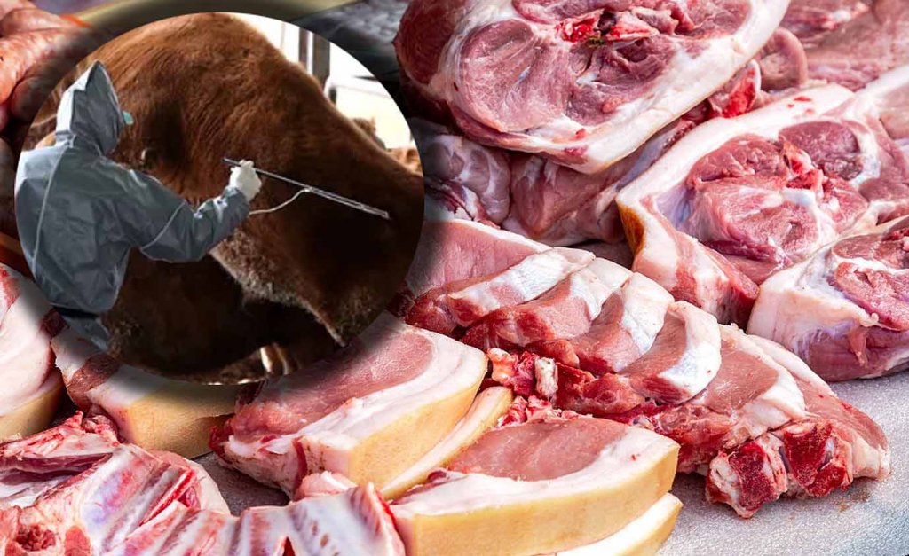 Pericol de răspândire a febrei aftoase la bovine, porcine, ovine și caprine / România a activat mecanismele de urgență 