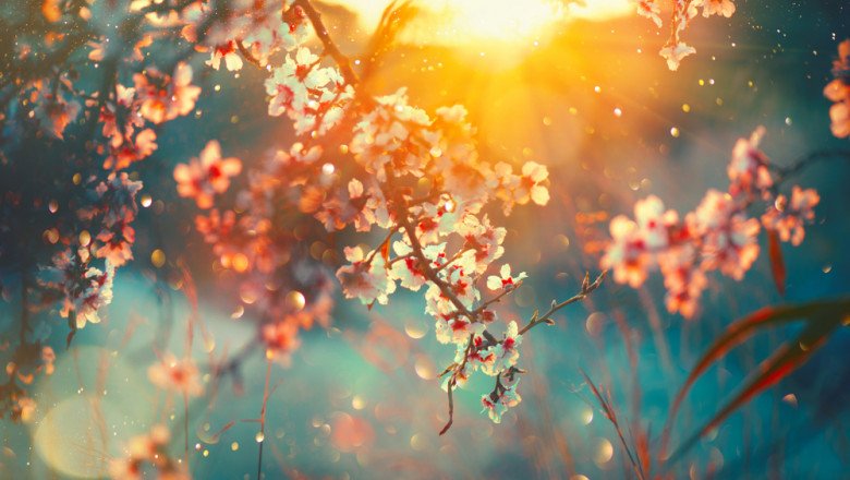 Meteorologii au actualizat prognoza! Cum va fi vremea în zilele libere de Paște și de 1 Mai