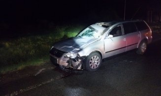 ACCIDENT în judeţul Cluj între un autoturism şi o căruţă / Calul fost omorât în impact