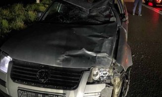 Cal omorât într-un accident produs între un autorurism şi o căruţă pe un drum din Cluj