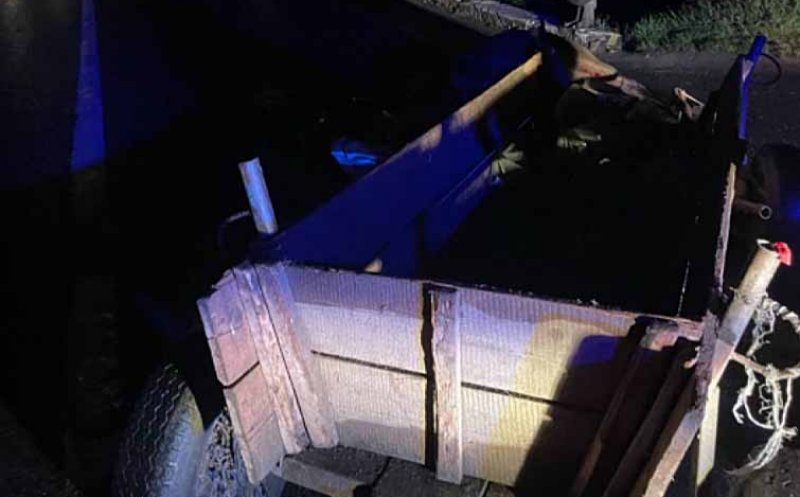 Cal omorât într-un accident produs pe un drum din Cluj / Căruţaşul a fugit de la locul accidentului