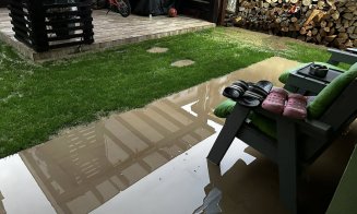 Străzi și curți inundate în Florești după furtuna de aseară / ”Anul asta pot trece de la barca cu vâsle, la barcă cu motor. Poate la anu' îmi iau yaht