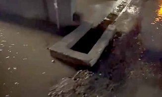 Străzi și curți inundate în Florești după furtuna de aseară / ”Anul asta pot trece de la barca cu vâsle, la barcă cu motor. Poate la anu' îmi iau yaht