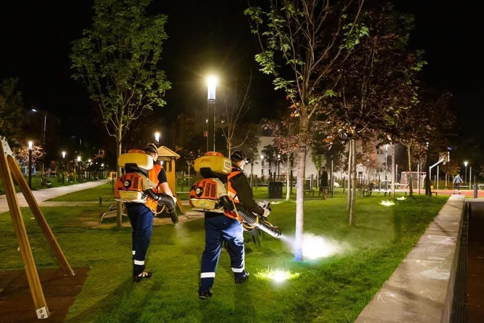 La Cluj, continuă campaniile de dezinsecție. Viceprimarul Dan Tarcea: „Soluția folosită nu este dăunătoare pentru animalele de companie și păsări”