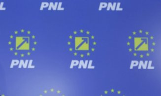Vicepreședinte PNL: „Fac un apel sincer şi deschis: este momentul să ieşim de la guvernare şi să ne detaşăm clar de PSD”