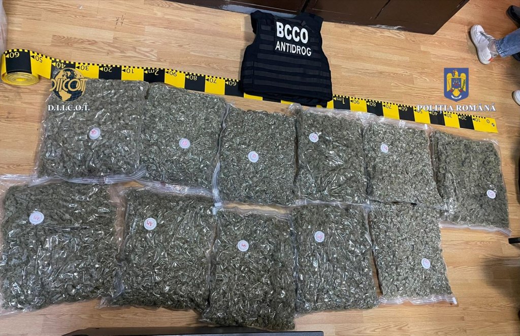 Traficant de droguri reținut în Cluj-Napoca după ce a ridicat peste 11 kg de canabis de la curier