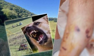 Anchetă după ce un bărbat și fiica lui au fost atacați de câini. Ce spune IPJ Cluj