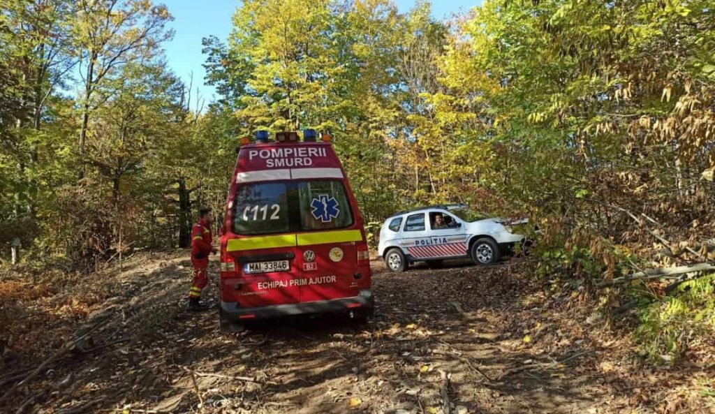 Tragedie cumplită într-o pădure din Cluj: Un bărbat a fost lovit mortal de un buștean