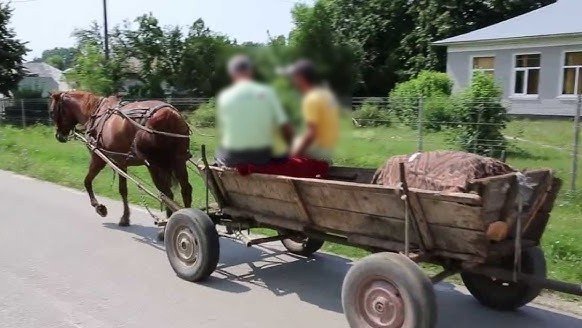 Doi bărbați din Cluj au parcurs aproape 200 km cu căruța pentru a fura...biciclete