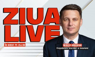 Președintele interimar al Senatului, Mircea Abrudean, invitat la ZIUA LIVE