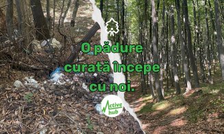 „Zilele Pădurii Făget” – O invitație la redescoperire și protecție a naturii!