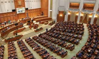 Deputata POT Cluj și-a dat demisia din partid: „Românii vor în Europa”