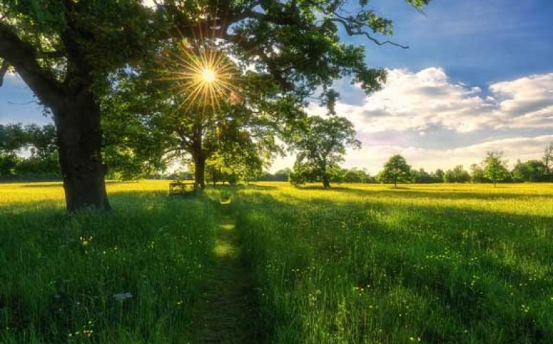 Vești noi de la meteorologi! Când vine vara/ Cum va fi vremea în minivacanța de Rusalii