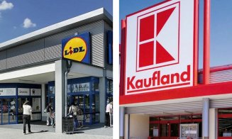 Lidl vs Kaufland / Care sunt diferențele dintre cei doi competitori. Tu știai câte magazine au în România?