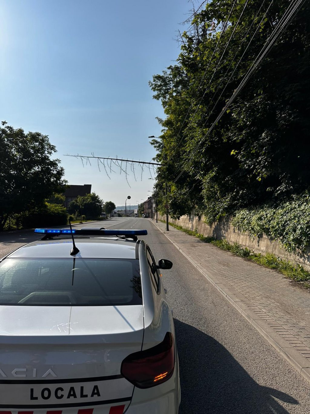 Arbore căzut peste firele de curent. Pompierii clujeni au intervenit de urgență