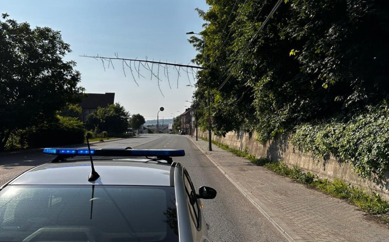 Arbore căzut peste firele de curent. Pompierii clujeni au intervenit de urgență