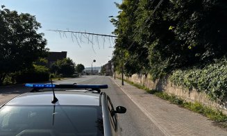 Arbore căzut peste firele de curent. Pompierii clujeni au intervenit de urgență