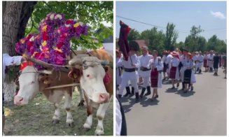Magia Rusaliilor într-un sat din Cluj: obiceiul "boului împănat", păstrat de secole