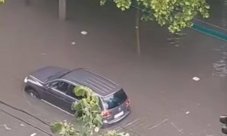 Dezastru în București după furtună: Autobuze inundate, copaci doborâți și zeci de mașini avariate