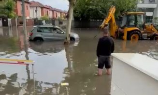 Dezastru în București după furtună: Autobuze inundate, copaci doborâți și zeci de mașini avariate