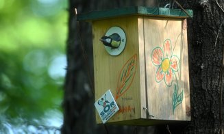 E Noaptea Privighetorilor la Cluj! Tururi ghidate, expoziție foto, ateliere și un concert caritabil în Parcul etnografic
