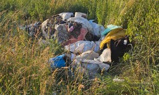 Ură pe natură? Gunoaie de mari dimensiuni aruncate aproape de malul Someşului, în Floreşti / "Se tot înmulțesc..."