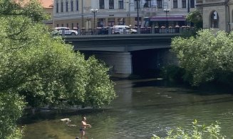 La scăldat pe Someş în Cluj-Napoca, dar şi la pescuit, pe relaxare în chiloţi, chiar în buricul târgului :) / "Corporatiştii cu trotinete nu înţeleg fotografia"
