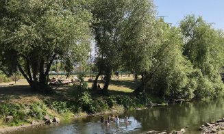 La scăldat pe Someş în Cluj-Napoca, dar şi la pescuit, pe relaxare în chiloţi, chiar în buricul târgului :) / "Corporatiştii cu trotinete nu înţe