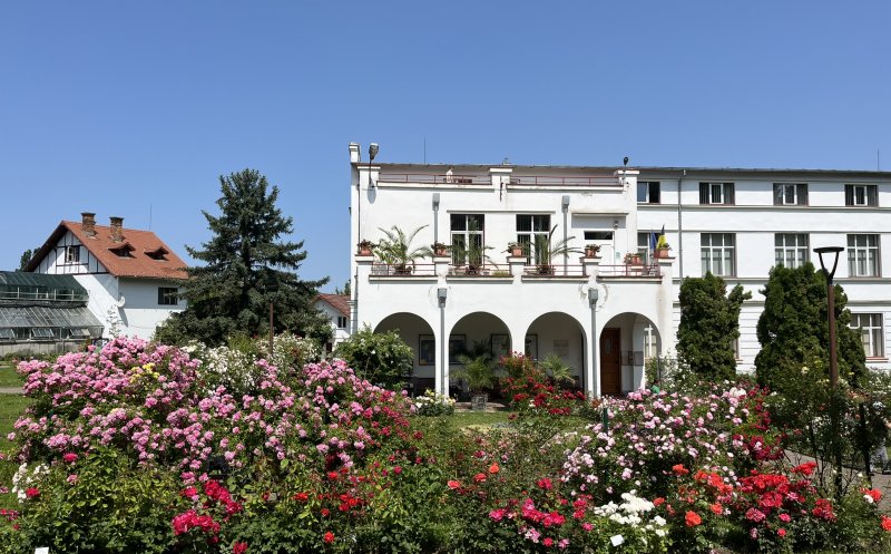 Un secol de la deschiderea oficială a Grădinii Botanice din Cluj-Napoca. VEZI programul evenimentelor