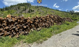 Lovitură dură pentru mafia lemnului: Depozite ilegale descoperite în Cluj