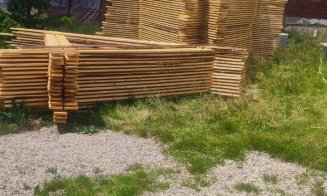 Percheziții la Băişoara la HOŢII de lemn: Tăiere fără drept și furt de arbori / Material lemnos CONFISCAT