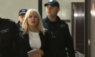 Elena Udrea izbucnit în plâns în fața magistraților. Ce au decis judecătorii privind liberarea condiționată