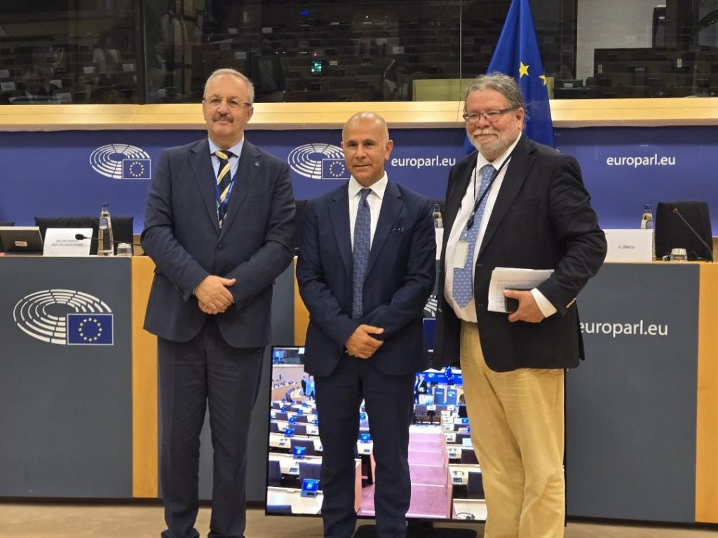 Vasile Dîncu, ales vicepreședinte al Delegației Parlamentului European la Adunarea Parlamentară NATO