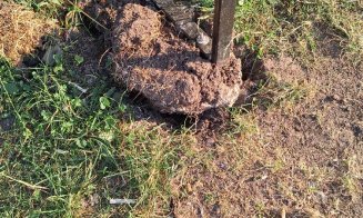 Pe ce au pus ochii hoţii din Mănăştur? Nu le-a ţinut figura... De data asta