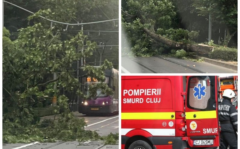 Furtuna de luni seară a făcut ravagii în Cluj: copac căzut pe linia de tramvai și acoperiș smuls de vânt