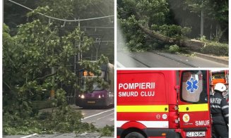 Furtuna de luni seară a făcut ravagii în Cluj: copac căzut pe carosabil și acoperiș smuls de vânt