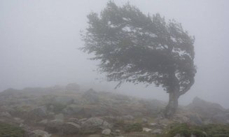 Vijelii puternice în Cluj: Mesaj RO-ALERT emis pentru întreg județul