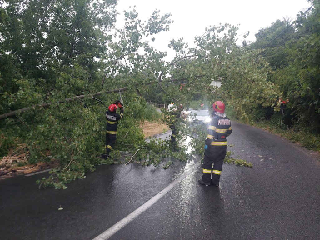 Bilanțul pagubelor produse de furtună în Cluj: arbori doborâți , drumuri blocate și incendii în mai multe localități