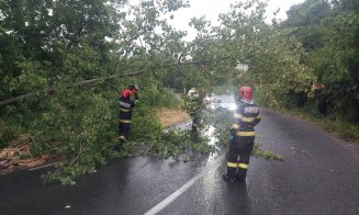 Bilanțul pagubelor produse de furtună în Cluj: arbori doborâți , drumuri blocate și incendii în mai multe localități