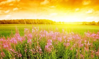 Prognoză nouă de la meteorologi. Cum va fi vremea de UNTOLD și minivacanța de Sf. Maria