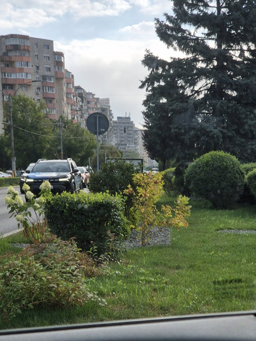 Cluj-Napoca: Vizibilitate obturată de afișe și boscheți / ”Dacă nu ieși până pe jumătate din banda 3, nu vezi mai deloc”
