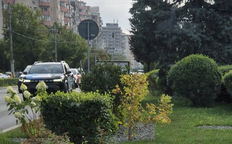 Cluj-Napoca: Vizibilitate obturată de afișe și boscheți / ”Dacă nu ieși până pe jumătate din banda 3, nu vezi mai deloc”