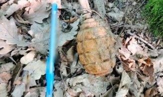 Descoperire periculoasă într-o pădure din Cluj. O grenadă a fost găsită întâmplător de un localnic