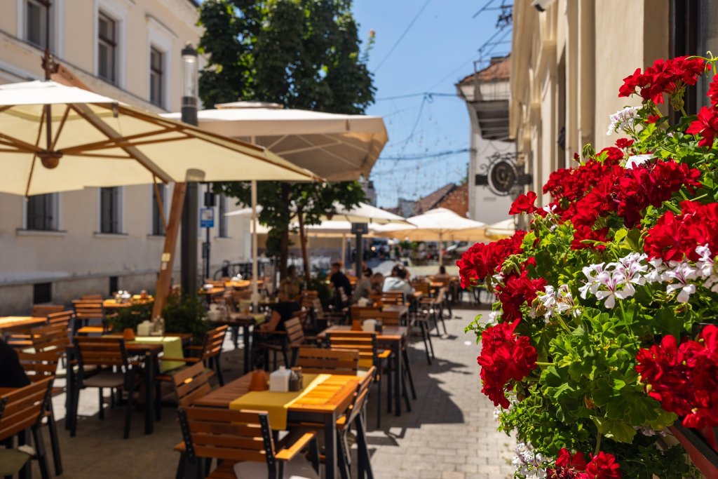 „Greii” afacerilor românești din Cluj. Vezi TOP 10 companii din județ