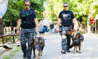 Securitate totală la UNTOLD X: Sute de polițiști din cinci județe, controale antidrog și câini specializați