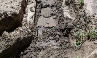 Prăpăd după vijelie într-o comună clujeană. Copaci doborâți și drumuri blocate, echipele de intervenție au muncit non-stop