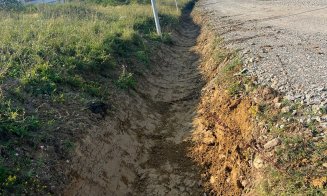 Prăpăd după vijelie într-o comună clujeană. Copaci doborâți și drumuri blocate, echipele de intervenție au muncit non-stop