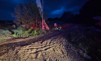 Prăpăd după vijelie într-o comună clujeană. Copaci doborâți și drumuri blocate, echipele de intervenție au muncit non-stop