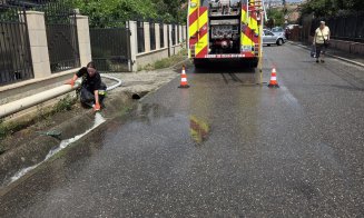 Prăpăd după vijelie într-o comună clujeană. Copaci doborâți și drumuri blocate, echipele de intervenție au muncit non-stop